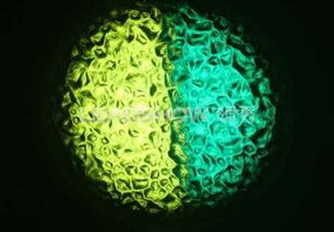 圖片,海量精選高清圖片庫(kù) 東莞市領(lǐng)秀光電科技有限責(zé)任公司